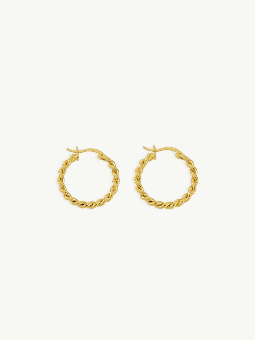 Twisted Elegance Hoops