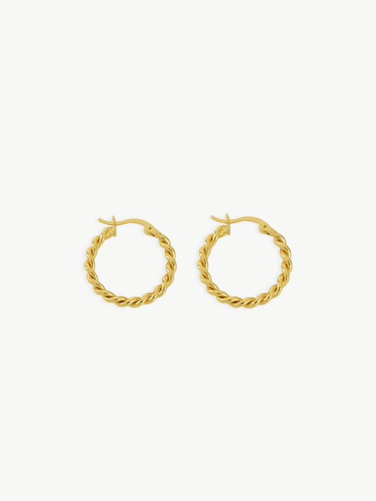 Twisted Elegance Hoops